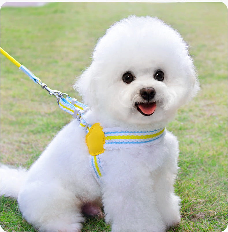 Breathable Summer Pet Harness Vest With Leash For Small Dogs