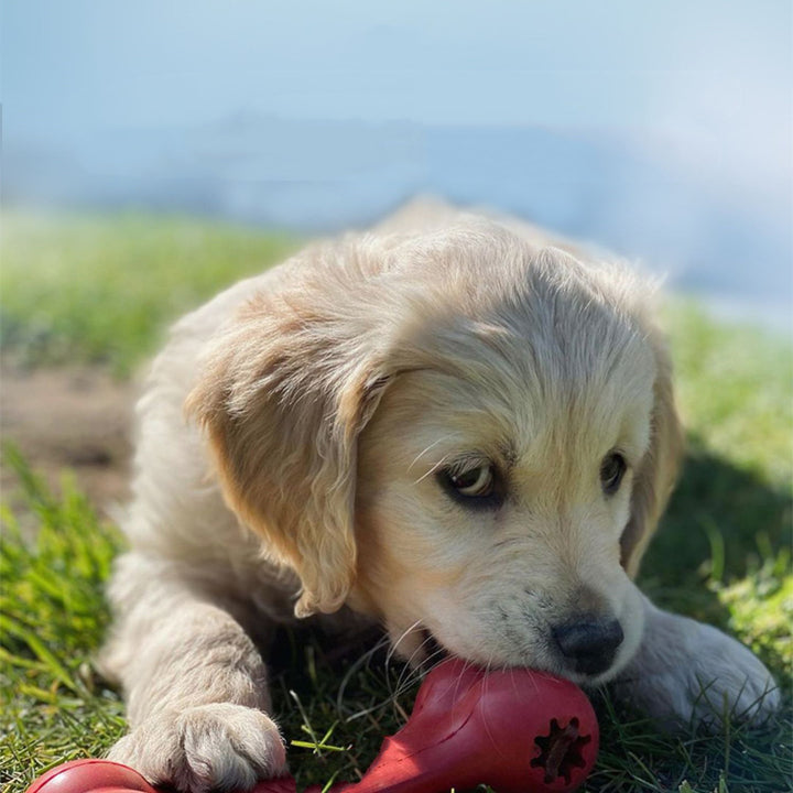 Durable Bite-Resistant Rubber Chew Toy For Pets