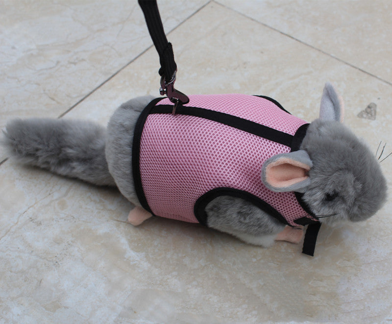 Durable Small Pet Leash Comfortable Walking Strap