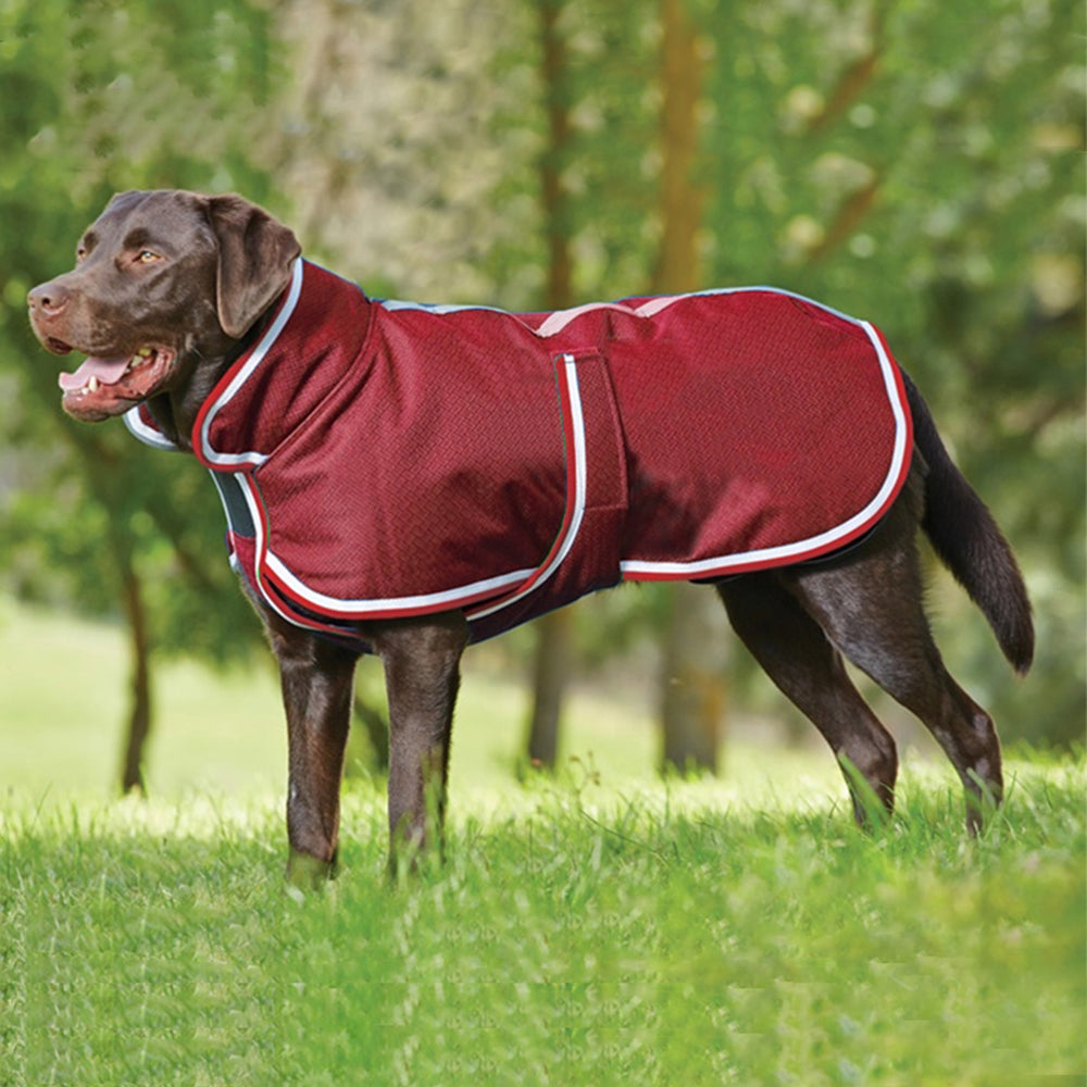Autumn Winter Waterproof Pet Jacket Warm Leisure Wear