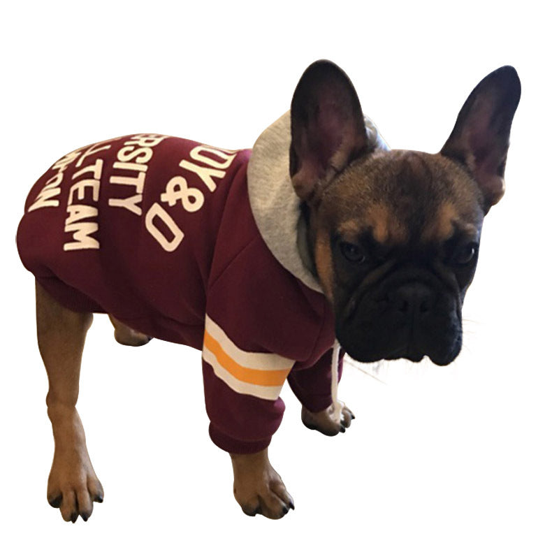 Cozy Knit Pet Sweater Comfortable Wear