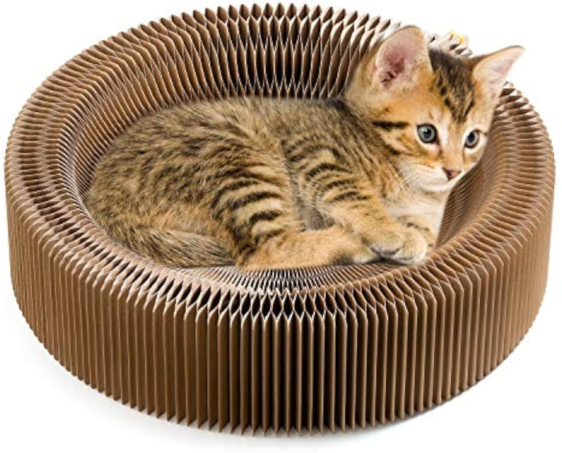Collapsible Cardboard Pet Scratcher Lounge Bed Round Indoor Nest