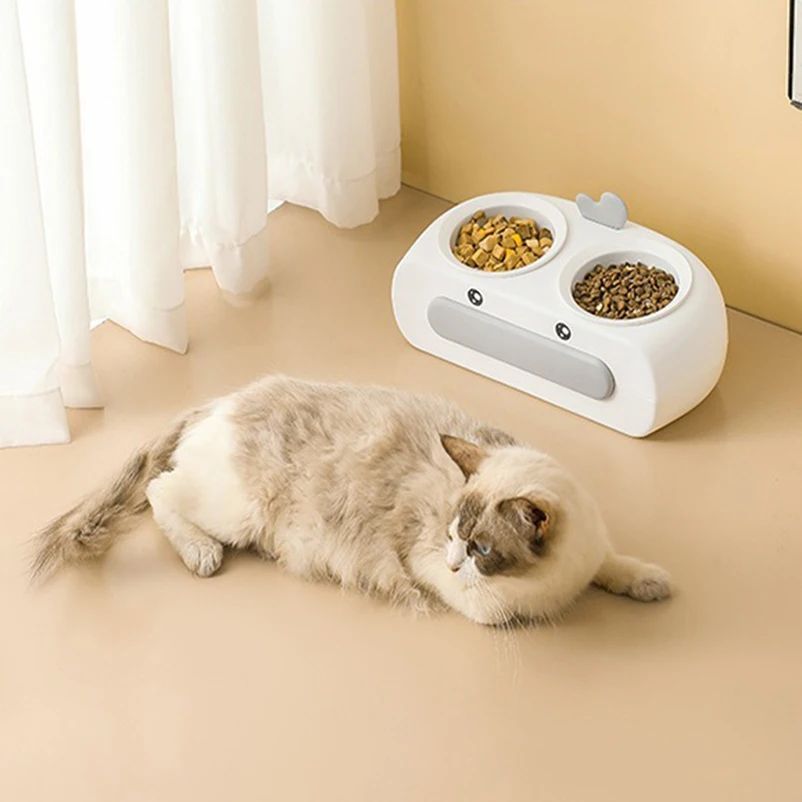 Transparent Anti Knock Feeding And Drinking Bowl For Pets