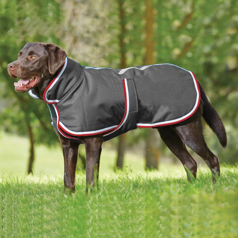 Autumn Winter Waterproof Pet Jacket Warm Leisure Wear