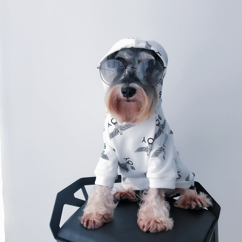 Warm Fall Winter Pet Sweater Cozy Seasonal Wear