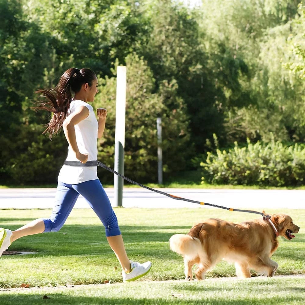 Adjustable Pet Harness Collar With Jogging Leash