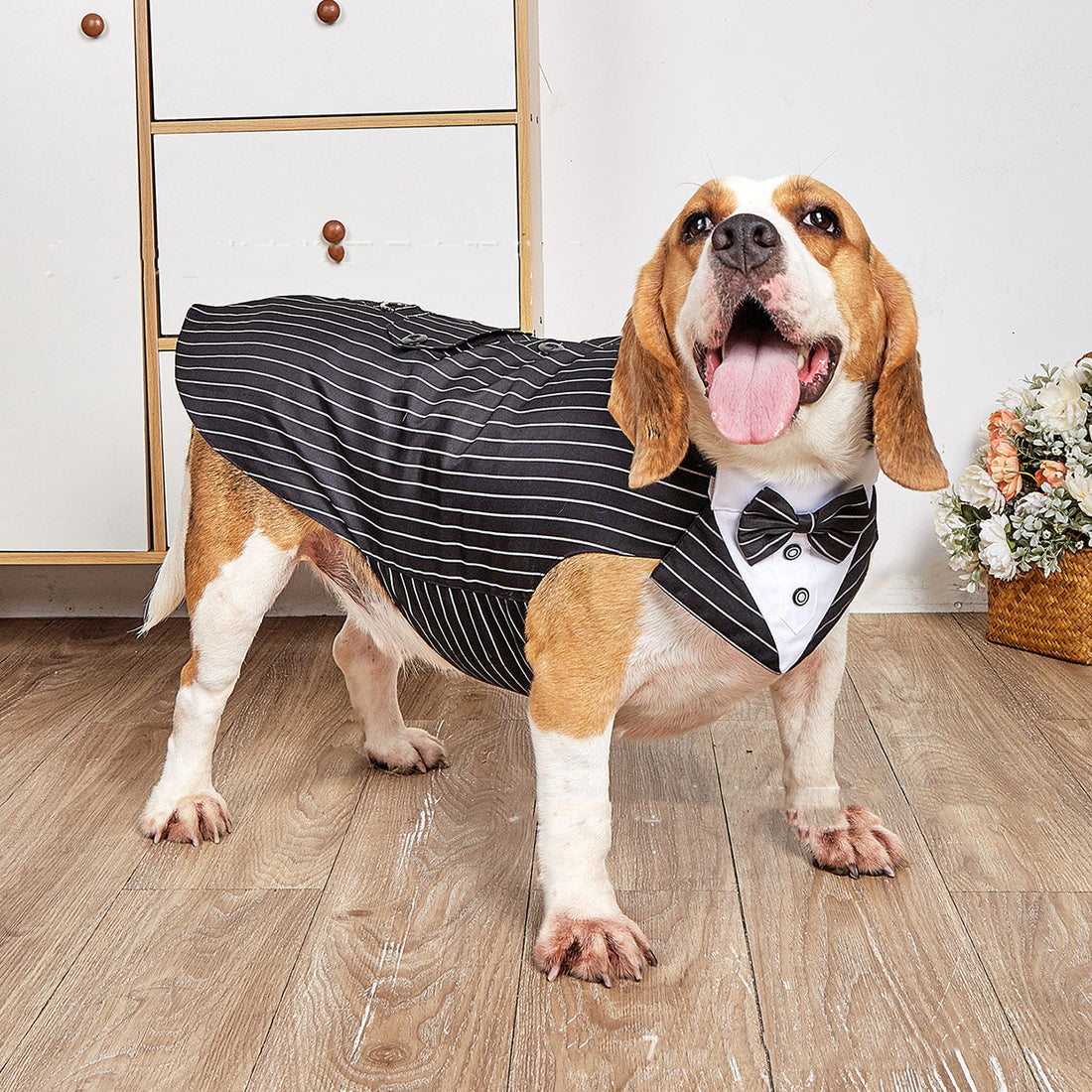 Swallowtail Pet Wedding Suit Jacket Elegant Formal Wear