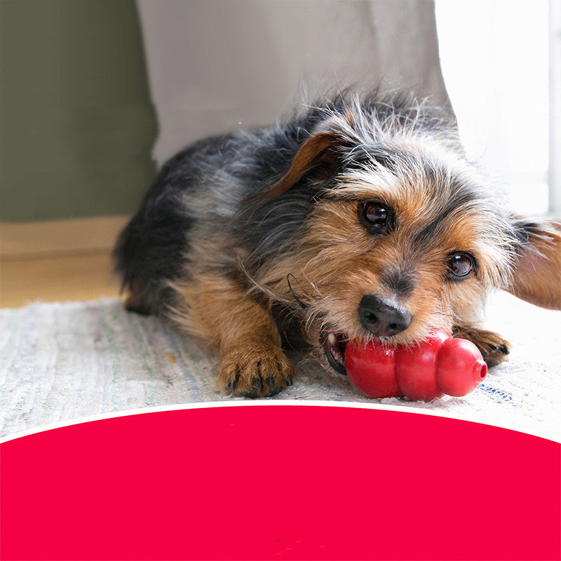 Durable Bite-Resistant Rubber Chew Toy For Pets