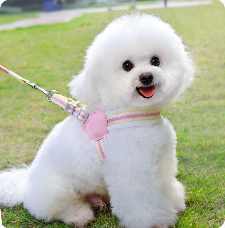 Breathable Summer Pet Harness Vest With Leash For Small Dogs