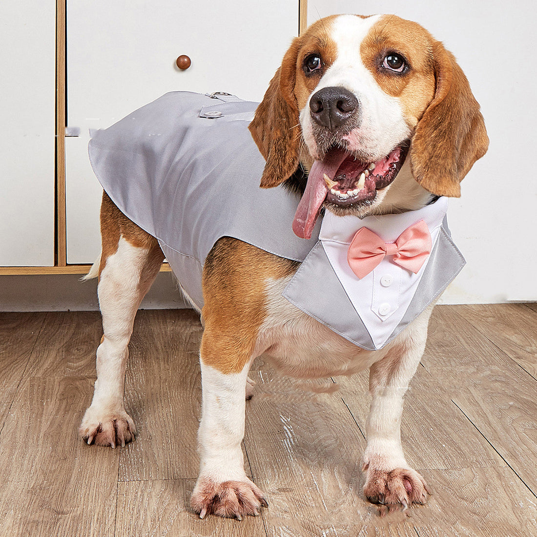 Swallowtail Pet Wedding Suit Jacket Elegant Formal Wear