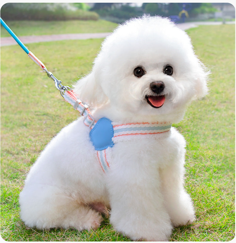 Breathable Summer Pet Harness Vest With Leash For Small Dogs