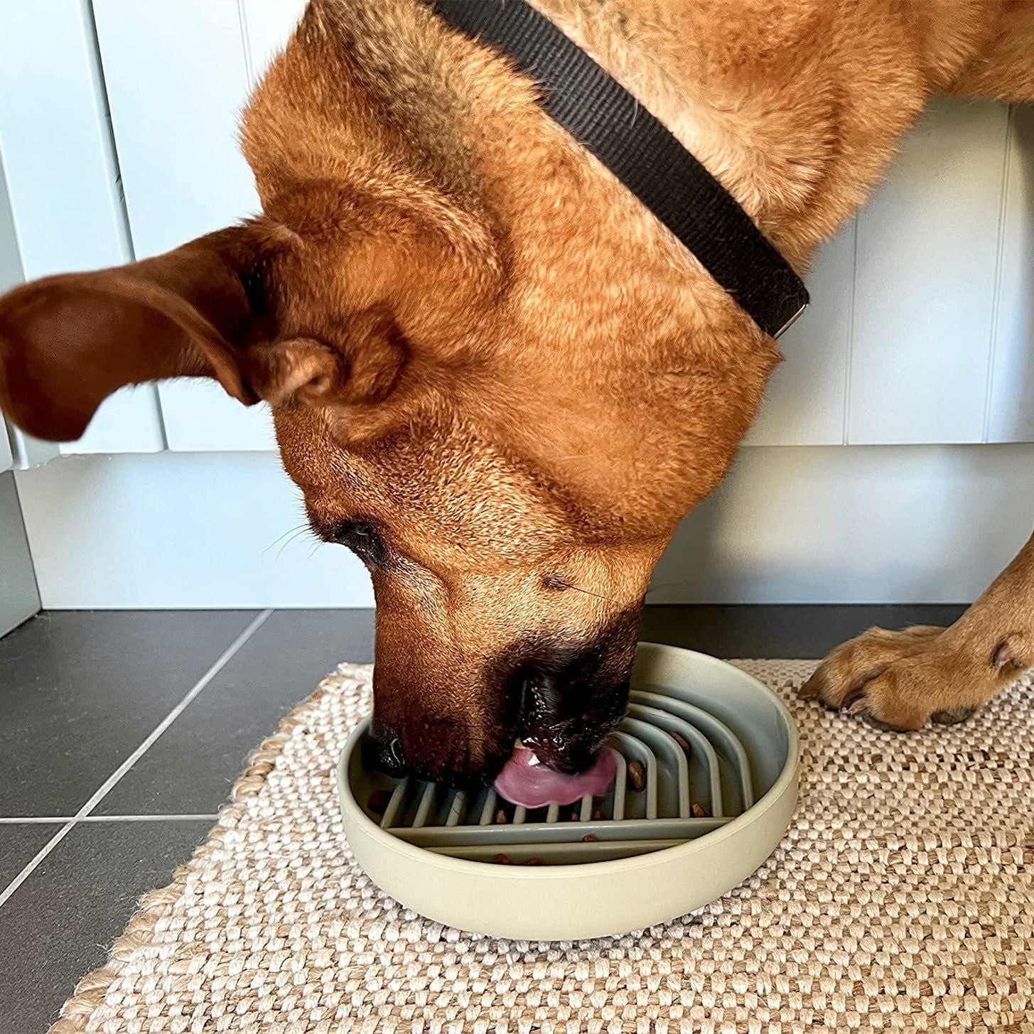 Simple Fashion Slow Feeding Bowl For Everyday Use