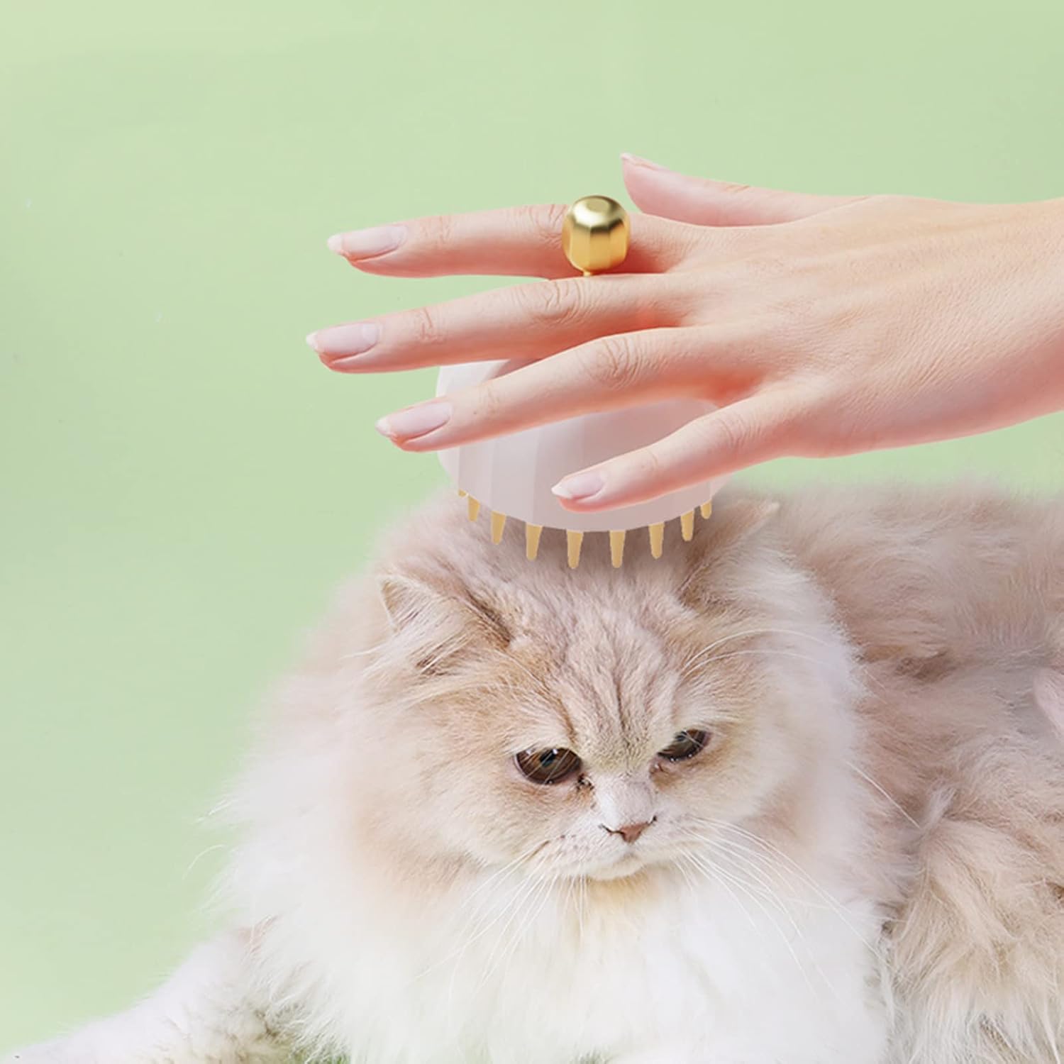 Pet Bath Massage And Grooming Brush