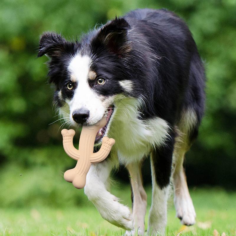 Cactus Chew Toy Durable Interactive Pet Toy for Dogs