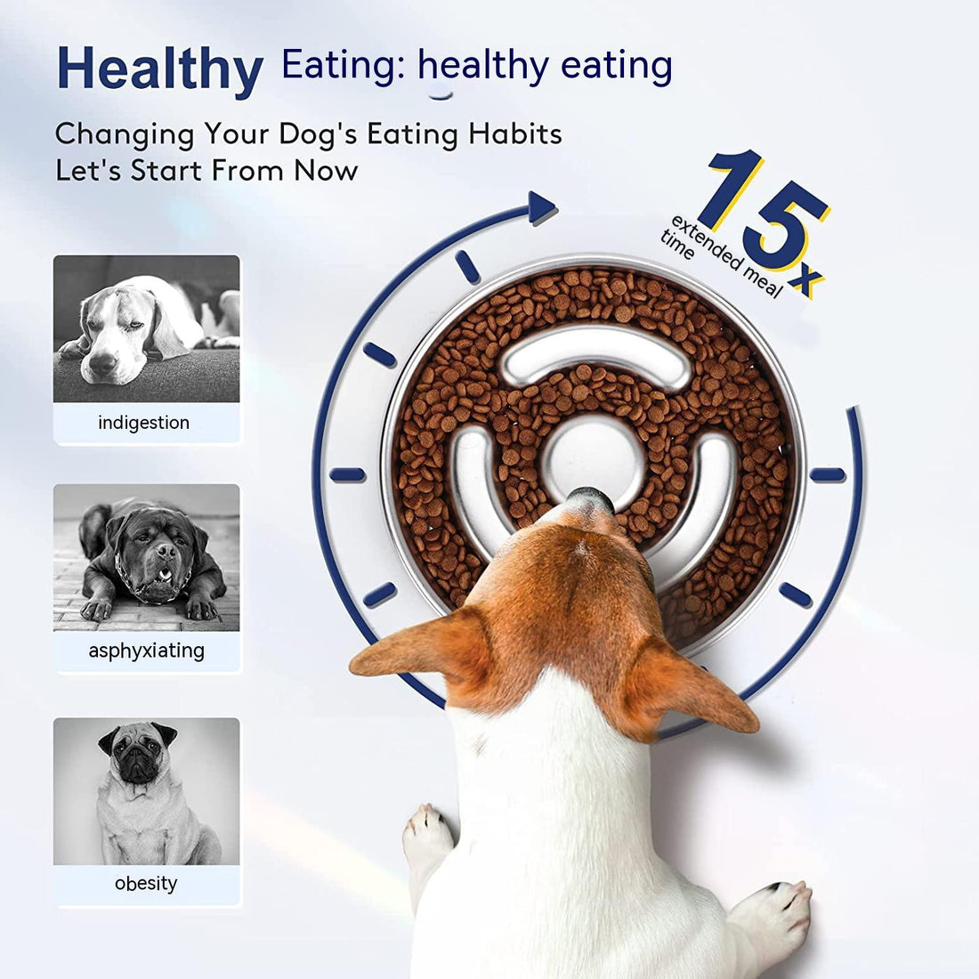 Stainless Steel Slow Feeding Bowl With Neck Protection Desi