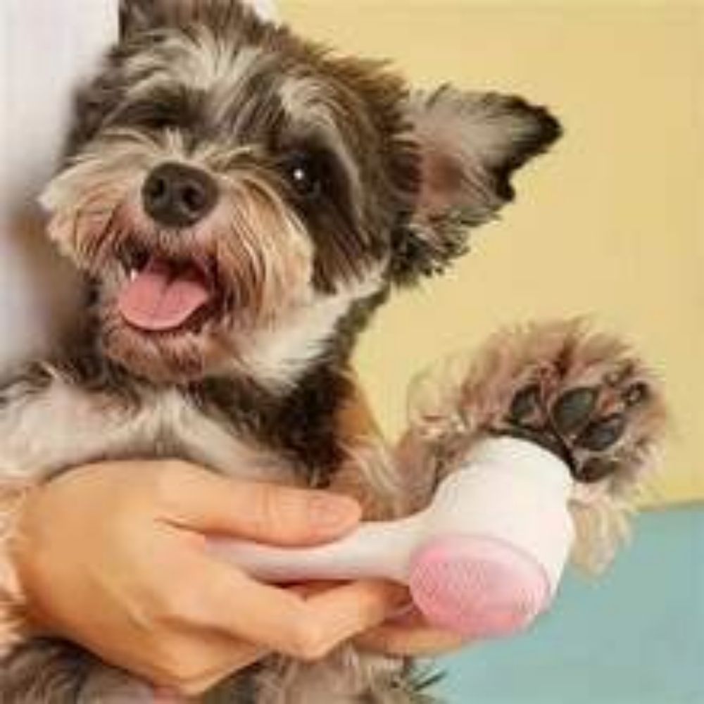 Easy Clean Nylon Paw Brush With Gentle Grooming And Massage For Pets