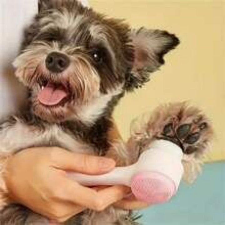 Easy Clean Nylon Paw Brush With Gentle Grooming And Massage For Pets
