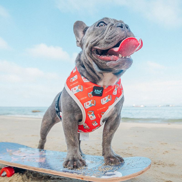 Adjustable Pet Chest Strap Harness With Leash