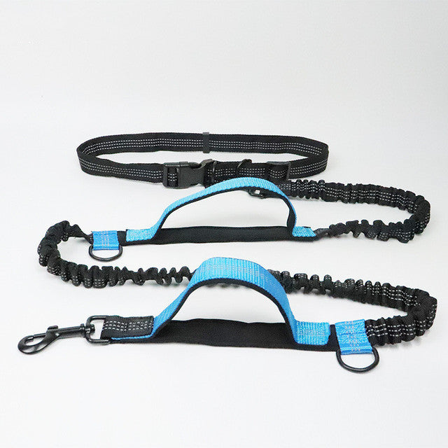 Adjustable Pet Harness Collar With Jogging Leash