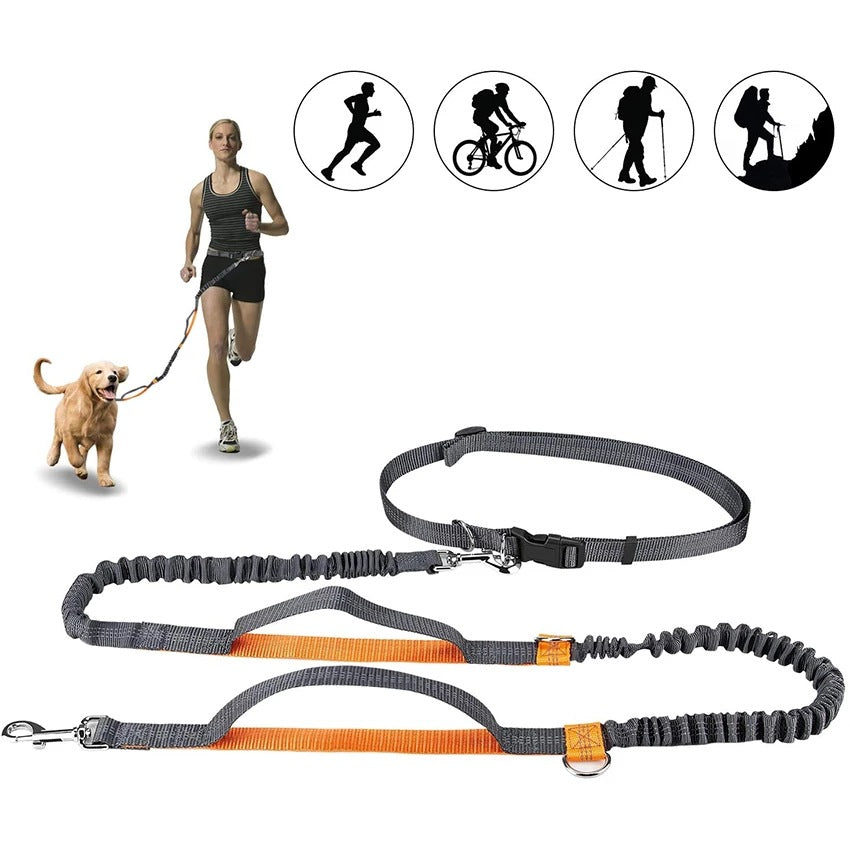 Adjustable Pet Harness Collar With Jogging Leash