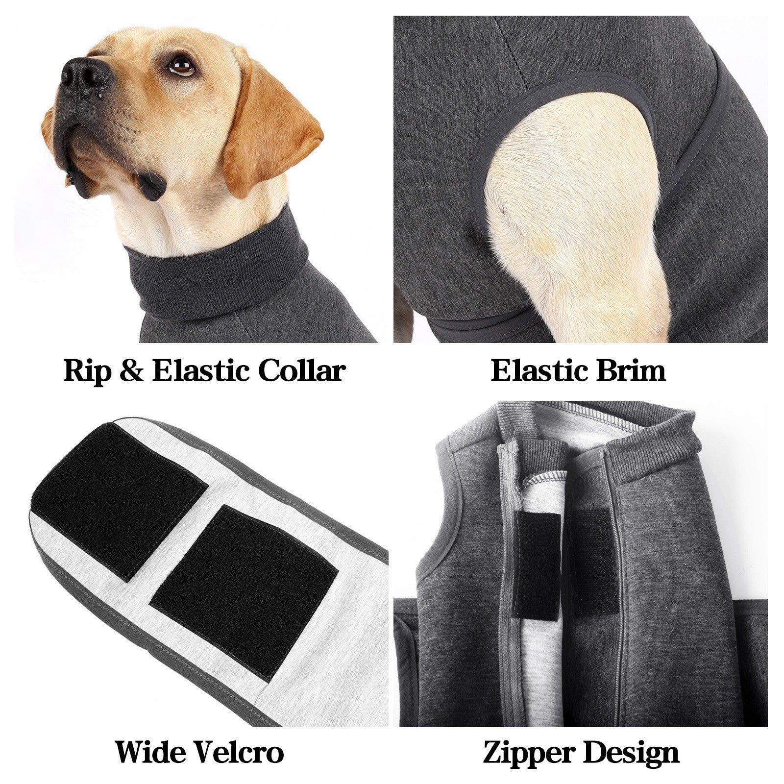Polyester Cotton Pet Comfort Double-Layer Jacket