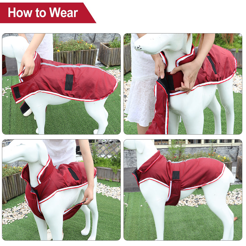Autumn Winter Waterproof Pet Jacket Warm Leisure Wear