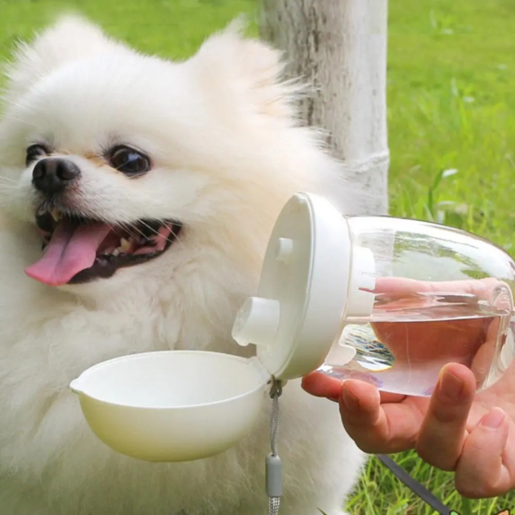Portable Travel Water Bottle With Bowl And Lanyard For Pets