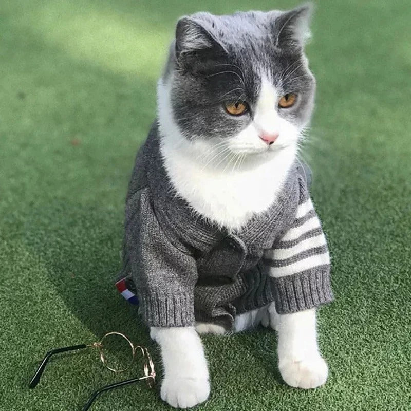 Pet Cardigan Sweater Stylish Comfortable Dog Wear
