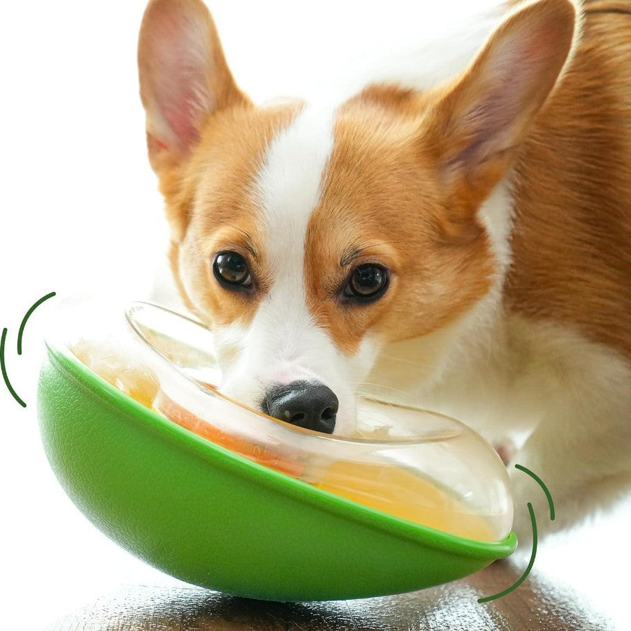 Anti-Tumble Avocado Pet Feeding Bowl Non Slip Stable Design
