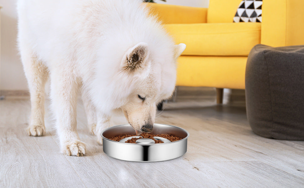 Stainless Steel Slow Feeding Bowl With Neck Protection Desi